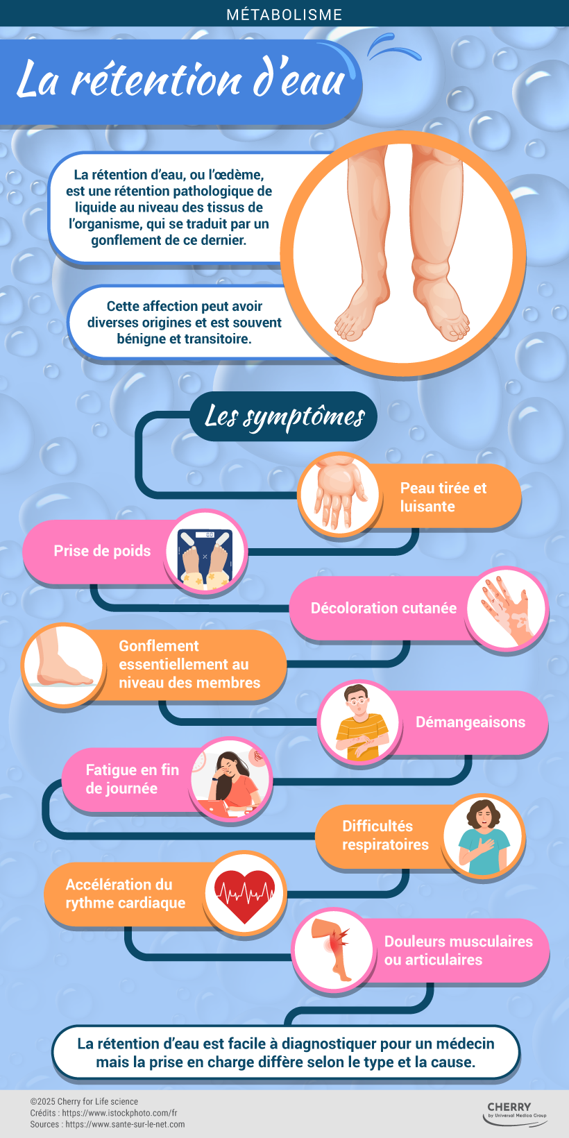 infographie la rétention d'eau