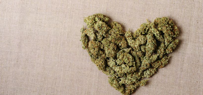 cannabis