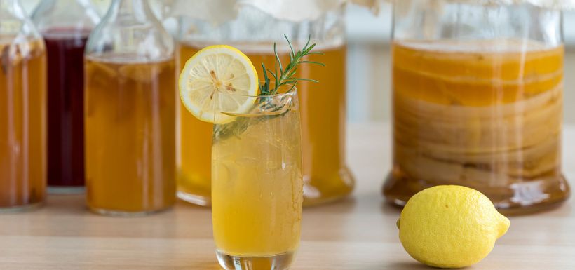 kombucha