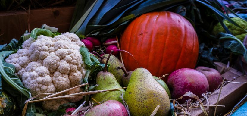 header article fruits et legumes de saison