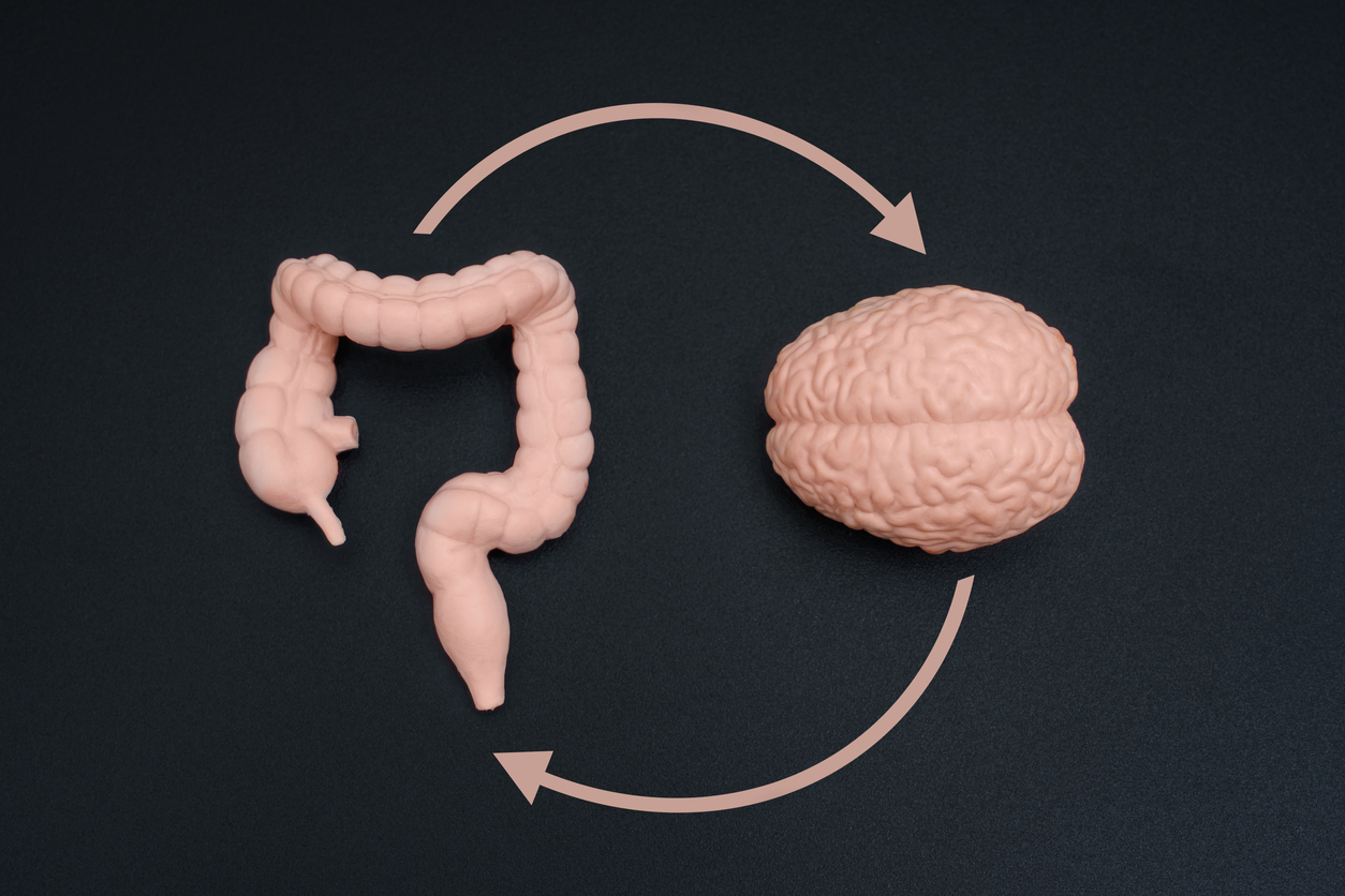Intestins et cerveau