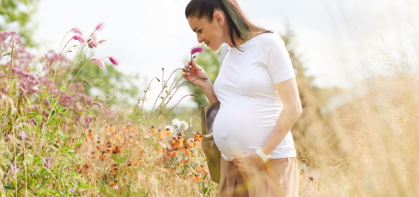 header article pollution et fertilité féminine