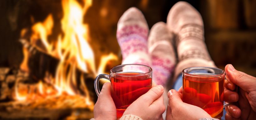 header article usage traditionnel végétaux de noël