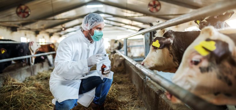 header article dermatose nodulaire pas contagieuse