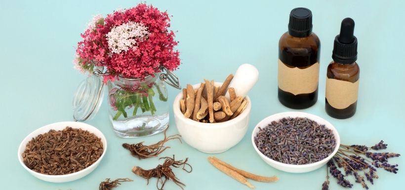 header article plantes adaptogènes