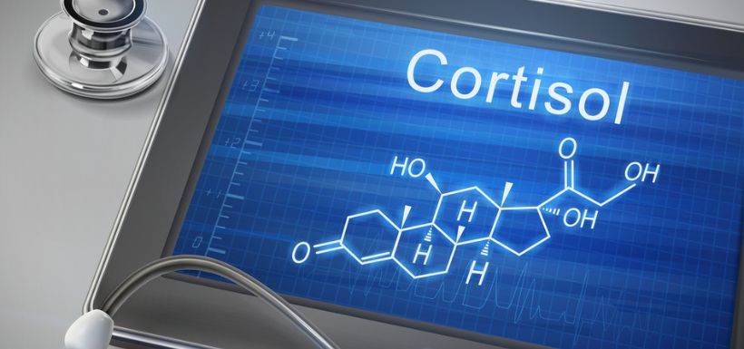 header article cortisol - vrai faux