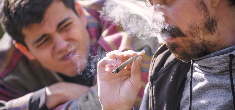 Cannabis et adolescent