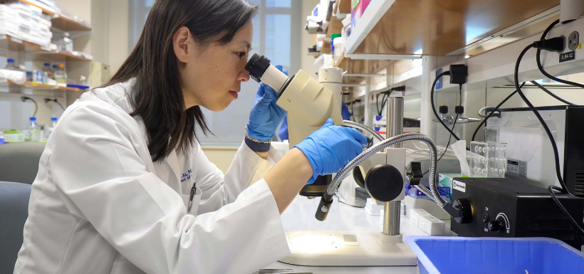 Crédit photo : Shawn Rocco