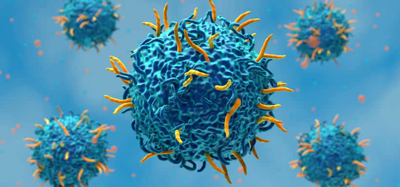 CAR T Cells