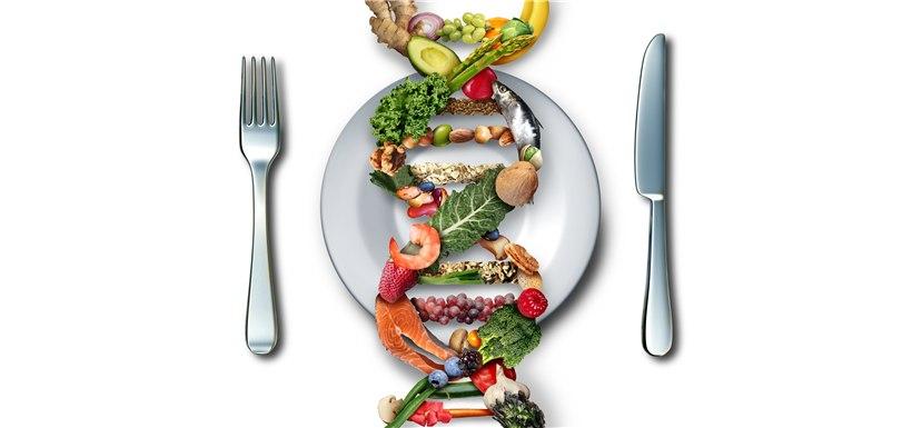 assiette-aider-cerveau-bien-vieillir Une assiette dont les aliments dessinent une double hélice d’ADN, entre une fourchette et un couteau