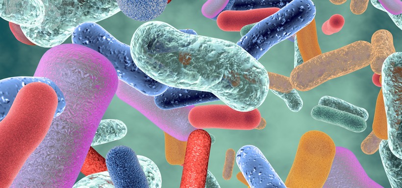 Quand nos bactéries intestinales se mêlent de nos hormones Bactéries intestinales en gros plan