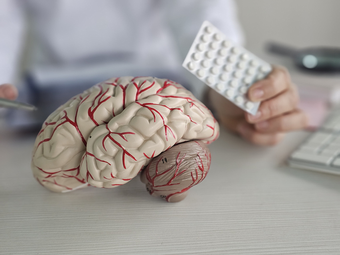 Detailed model of human brain with highlighted blood vessels alongside a hand holding medication pack in a clinical setting