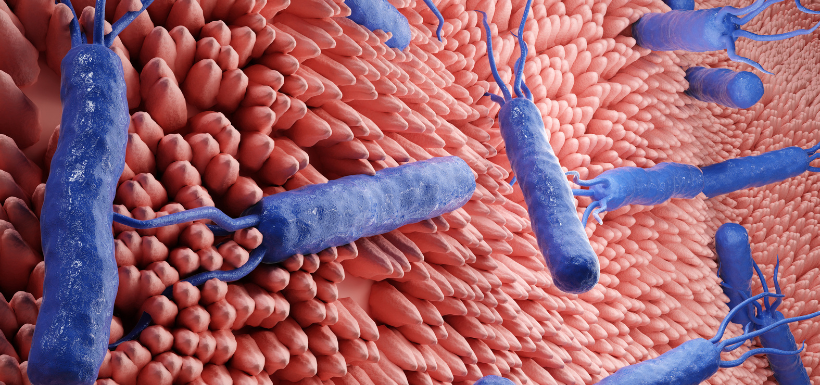 Ces virus et bactéries qui peuvent provoquer des cancers Virus et bactéries pouvant provoquer des cancers
